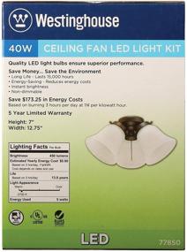 img 2 attached to 💡 Enhance Your Ceiling Fan with the Westinghouse Lighting 7785000 Three LED Cluster Light Kit – Oil Rubbed Bronze Finish and Frosted Ribbed Glass