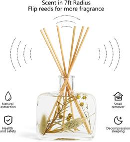 img 3 attached to 🌊 Wood Sage & Sea Salt Reed Diffuser Set: Fragrant Bathroom Decor & Christmas Gift