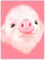 🐷 super soft warm pink pig big nose girl throw blanket for sofa bed - 60" x 80 logo