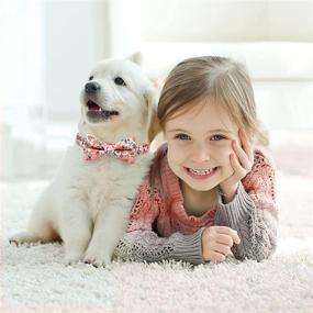 img 3 attached to 🐶 Malier Dog Collar with Bow tie: Cute and Adjustable Collar for Small, Medium, Large Dogs – Pink, Small