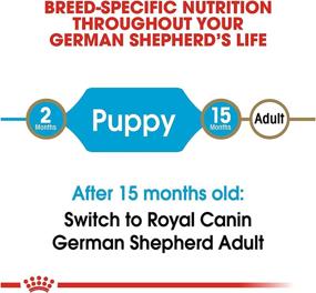 img 1 attached to Royal Canin Nutrition Shepherd 30 Pound Dogs