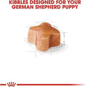 img 3 attached to Royal Canin Nutrition Shepherd 30 Pound Dogs