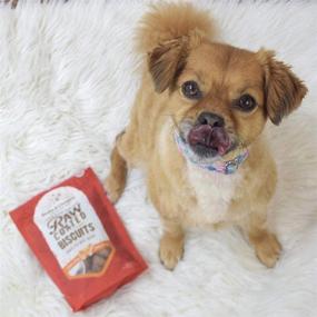 img 2 attached to 🐶 Stella & Chewy's Freeze-Dried Raw Coated Biscuits: Premium Dog Treats for Optimal Health