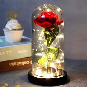 img 4 attached to 🌹 Eternal Red Rose in Glass Dome: Timeless Beauty and The Beast Inspired Gift for Her - Perfect for Christmas, Wedding, Valentine's Day, Anniversary, and Birthday
