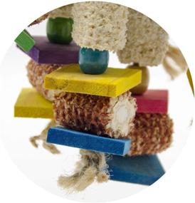 img 1 attached to 🐦 Deloky Large Bird Block Knots Tearing Toy - Versatile 19-inch Natural Wood Corn Cob Parrot Chewing Toy, Ideal for Macaws, Cockatoos, African Grey, and More (Large Size)