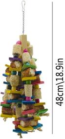 img 2 attached to 🐦 Deloky Large Bird Block Knots Tearing Toy - Versatile 19-inch Natural Wood Corn Cob Parrot Chewing Toy, Ideal for Macaws, Cockatoos, African Grey, and More (Large Size)