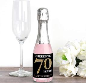 img 3 attached to 🎉 Adult 70th Birthday Gold Mini Wine and Champagne Bottle Label Stickers - Party Favor Gift for Women and Men - Set of 16