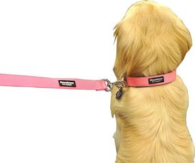 img 1 attached to Deluxe Thick Dog Collar by Downtown Pet Supply - Adjustable in Blue, Red, Black, Purple, or Pink - Sizes Small, Medium, Large, or X-Large