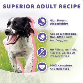 img 1 attached to Halo High Protein Dry Dog Food with Wild Salmon & Whitefish