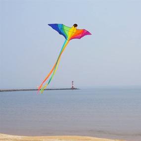 img 2 attached to 🦜 Colorful Besra Rainbow Parrot/Eagle Kite Phoenix Bird Kite for Beach & Park Activities with Long Tails