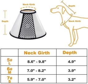 img 2 attached to 🐱 Bepets Cat Cone Collar for Small Dogs & Cats - Recovery Cone After Surgery - Anti-Bite Lick Wound Medical Cone - Protective Head Cone for Dogs & Cats - E Collar for Cats, Puppies & Rabbits (Sizes 5#, 6#, 7#)