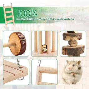 img 3 attached to Premium BestFire Hamster Chew Toys: 14pcs Natural Wooden Toys for Rabbit, Guinea Pig, Chinchilla, Bunny, Gerbils, Rats - Dumbbells, Exercise Bell, Roller Care, Molar Toy for Teeth