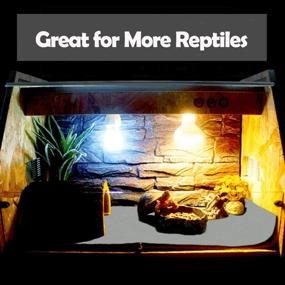 img 2 attached to 🐊 Large Reptile Carpet Terrarium Liner Bedding - Mechkia: 47x24 inches, Ideal Reptile Substrate Mat Supplies for Bearded Dragon, Snake, Lizard, Tortoise, and Leopard Gecko