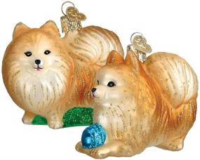 img 4 attached to 🎄 Pomeranian Glass Blown Christmas Ornaments by Old World Christmas: Perfect for Your Christmas Tree