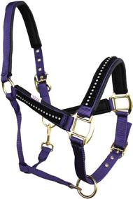 img 1 attached to 🐴 CHALLENGER Neoprene Padded Nylon Horse Halter with Lead Rope - Brass Hardware and Rhinestones (606172)