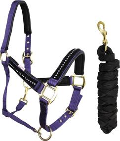 img 2 attached to 🐴 CHALLENGER Neoprene Padded Nylon Horse Halter with Lead Rope - Brass Hardware and Rhinestones (606172)