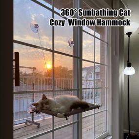 img 1 attached to 🐱 Cat Window Perch with 360° Sunbathing Cat Shelves, Hammock Cat Bed, and Extra Soft Mat Pad