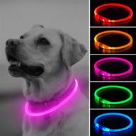 🐶 illumifun led dog collar: usb rechargeable glowing necklace for small, medium, and large dogs logo