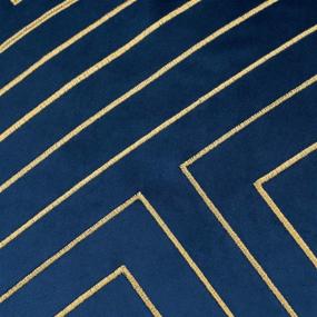 img 1 attached to 🌟 Avigers 12 x 20 Inch Navy Blue Gold Striped Geometric Lines Embroidery Velvet Cushion Case - Luxurious, Modern Lumbar Throw Pillow Cover for Decorative Couch, Living Room, Bedroom, Car - 30 x 50cm