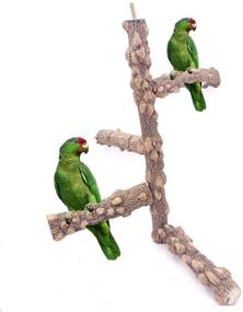 img 4 attached to 🐦 Borangs Natural Wood Bird Perch Stand Toy Branch for Small to Medium Parrot Cages - Holds 3-4pcs Parrots