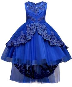 img 3 attached to 👗 HUAANIUE Girls Pageant Wedding Flower Dresses: Beautiful Clothing for Little Fashionistas!