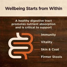 img 3 attached to 🐶 Wellnes CORE Digestive Health Grain Free Wet Dog Food: Ideal for Dogs and Puppies with Sensitive Stomachs, Promotes Easy Digestion, Smooth Pate, Boosts Coat Lustre & Enhances Skin Health - Natural, All Breeds, Adult Formula