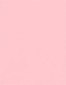 img 2 attached to 🍼 Baby Pink Cardstock - 8.5 x 11 inch - 65 lb Cover Weight - Pack of 50 Sheets - by Clear Path Paper