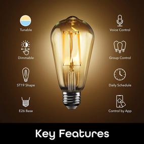 img 3 attached to Enhance Your Home Lighting with Geeni Edison ST19 Smart 2700K Bulb
