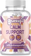 😌 mood boosting calm supplements, natural serotonin supplement with 5htp, ashwagandha extract, gaba │ 60 non gmo happy pills logo