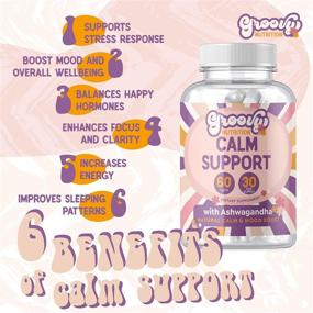 img 2 attached to 😌 Mood Boosting Calm Supplements, Natural Serotonin Supplement with 5HTP, Ashwagandha Extract, GABA │ 60 Non GMO Happy Pills