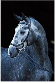 img 2 attached to 🐴 Deluxe Competition Bridle by Rambo Micklem