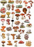 40pcs all about mushrooms sticker set: adorable decals for laptops, phones, water bottles & more logo