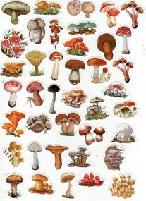 img 1 attached to 40pcs All About Mushrooms Sticker Set: Adorable Decals for Laptops, Phones, Water Bottles & More