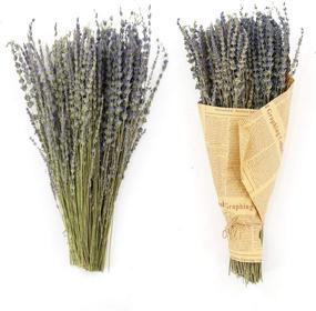 img 4 attached to Enhance Your Home Decor with MIHUAGE Real Dried Lavender Flowers Bundles - 100% Natural Dry Flower Decor for Home Decorations (2 Bundles Pack)