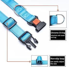 img 1 attached to Stay Safe and Stylish with our Reflective Dog Collar: Featuring Safety Locking Buckle, Adjustable Soft Neoprene Padding, and Breathable Nylon for Small, Medium, and Large Dogs in 4 Sizes