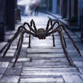img 4 attached to 🕷️ Libay Halloween Giant Spider 6.6 Ft - Outdoor Decorations | Large Fake Hairy Spider | Scary Furry Spider Props for Yard | Creepy Black Spider Decoration