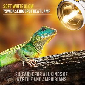 img 1 attached to 🐍 Enhance Reptile Habitat with 75W UVA UVB Sun Lamp, Full Spectrum Light Basking Bulbs - 2 Pack