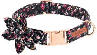 🌸 flower power: stylish dog collar for girl dogs with detachable flower decoration logo