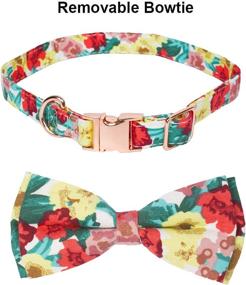 img 3 attached to Stylish Dog Collar with Bow Tie, Adjustable Cotton Bowtie Collar for Small, Medium, and Large Dogs - Perfect Gift for Pets (Small, Red & Purple)