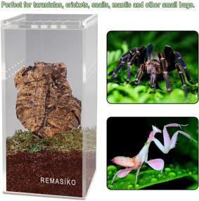 img 1 attached to 🐍 Magnetic Acrylic Reptile Cage 3x3x6 Nano Tall Enclosure - Transparent Reptile Breeding Box Terrarium Tank for Tarantula, Scorpion, Sling, Isopods, Invertebrates, Insects, and Praying Mantis