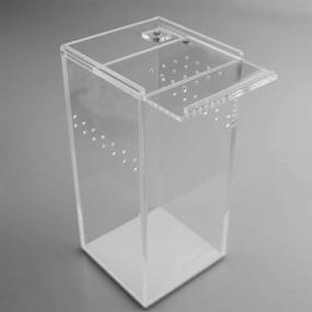 img 3 attached to 🐍 Magnetic Acrylic Reptile Cage 3x3x6 Nano Tall Enclosure - Transparent Reptile Breeding Box Terrarium Tank for Tarantula, Scorpion, Sling, Isopods, Invertebrates, Insects, and Praying Mantis