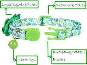 img 3 attached to BoomBone Pack Shamrock Collar Puppy