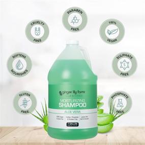 img 1 attached to 🌿 Ginger Lily Farms Club & Fitness Moisturizing Shampoo - All Hair Types, 100% Vegan & Cruelty-Free, Aloe Vera Scent, 1 Gallon (128 fl oz) Refill