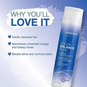 img 3 attached to Joico Color-Treated Lightened Hair: Balance Eliminator