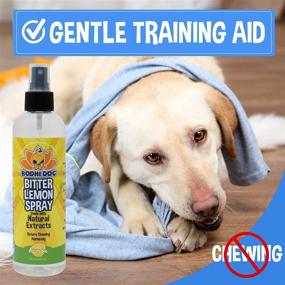 img 2 attached to 🍋 Bodhi Dog Bitter Lemon Spray: Anti-Biting and Chewing Treatment for Puppies, Older Dogs, and Cats - 100% Non-Toxic, Made in USA