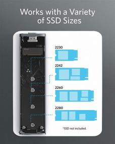 img 3 attached to 💾 Anker PowerExpand M.2 NVMe & SATA SSD Enclosure Adapter, USB 3.1 Gen2 10Gbps, USB C & Thunderbolt 3 Compatible, Supports M/B&M Keys, Size 2230/2242/2260/2280 SSDs