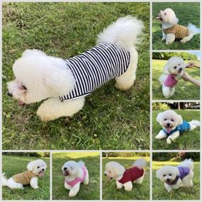 img 1 attached to LEVIBASIC Cotton Dog Shirts: Striped T-Shirts for Dogs and Cats, Breathable Basic Puppy Vest, Super Soft and Stretchable Doggy Tee Tank Top Sleeveless, Fashionable & Cute Colors for Boys and Girls