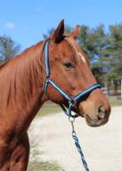 nylon breakaway halter & lead set by tuffrider logo