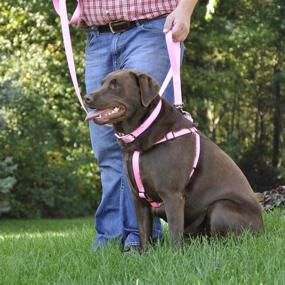 img 1 attached to 🐾 Coastal Pet Neon Pink Dog Collar - Double Ply, Adjustable 19-22" Girth (1" Width) - 1 Unit