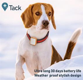 img 1 attached to 📍 New! Tack GPS Location Tracker with FCC Certification, Extended 30-Day Battery Life, and Affordable Monthly Fee - Wonder Case for Pets, Children, Alzheimer's Patients, Dogs, Cats, Bikes, Cars, Vehicles, Motorcycles. GPS, WiFi, Cellular Connectivity.